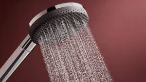 Ducha manual Chrome hansgrohe Raindance Alive